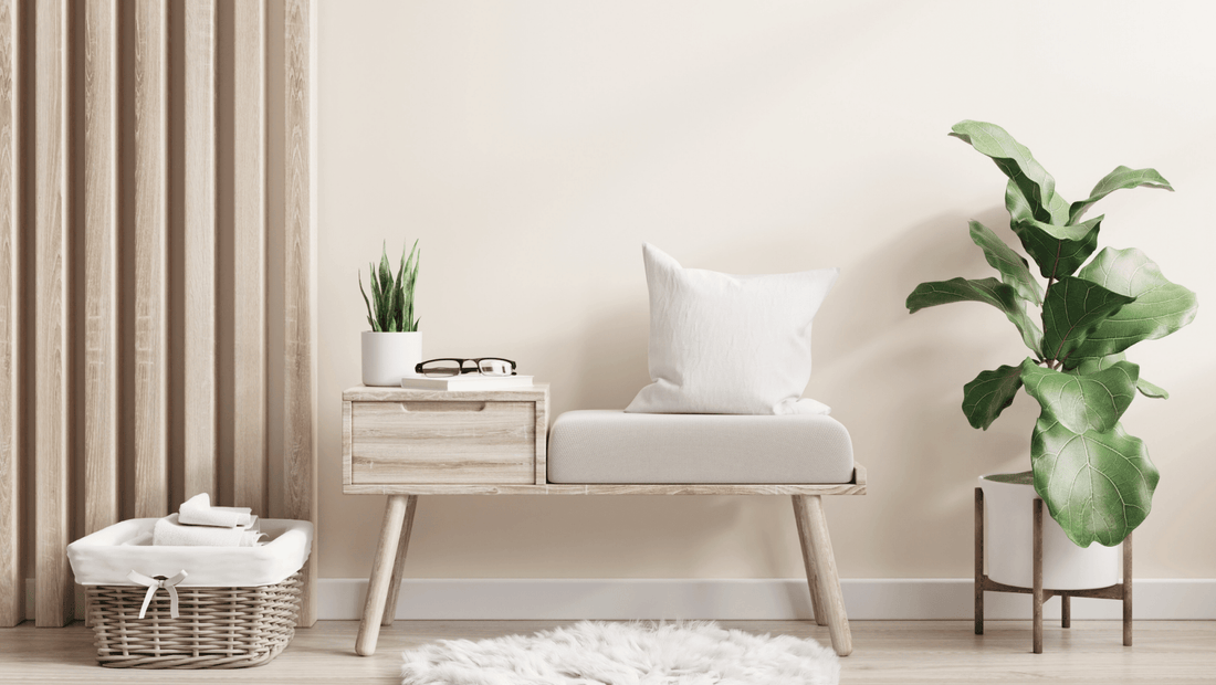 Natural Interior Paint: An Eco-friendly and Healthier Choice Over Synthetic Paints - Shop Interior Paints Online - Thrive is Natural Color for Walls